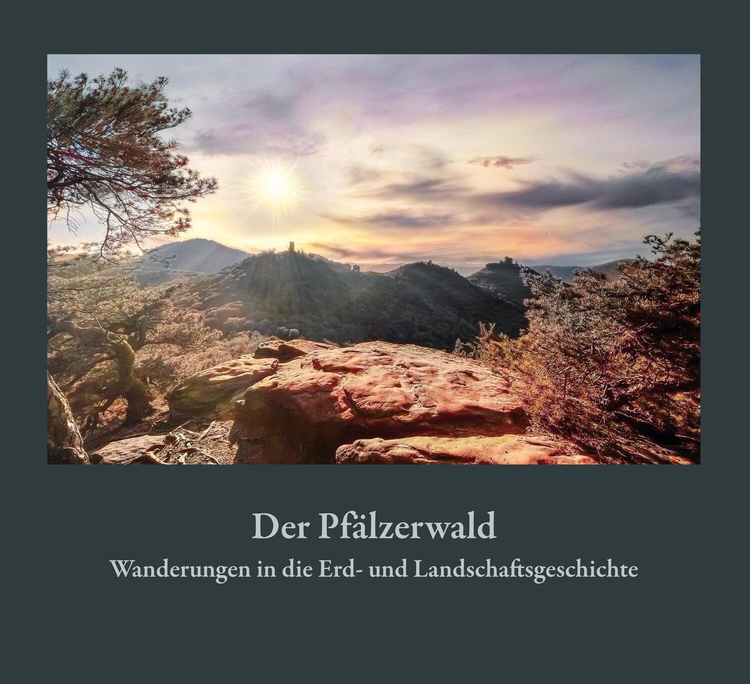 Cover: 9783955053642 | Der Pfälzerwald | Wanderungen in die Erd- und Landschaftsgeschichte