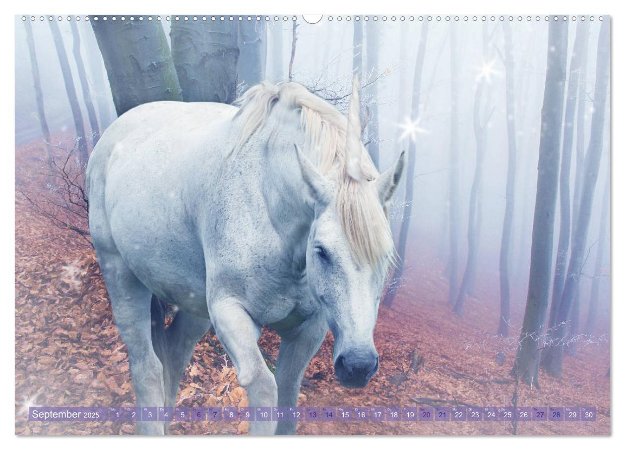 Bild: 9783435303755 | Einhorn Love - Fantasiewelt (hochwertiger Premium Wandkalender 2025...