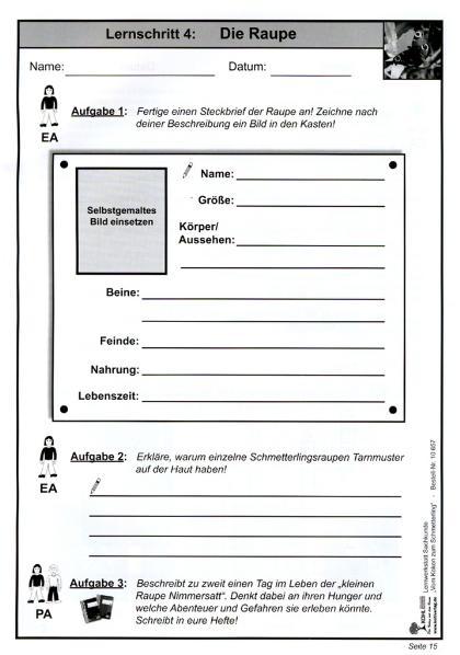 Bild: 9783866326576 | Lernwerkstatt - Vom Kokon zum Schmetterling | Quast | Taschenbuch