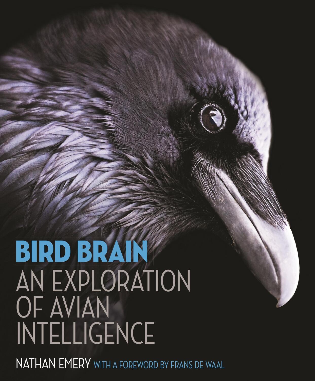 Cover: 9780691165172 | Bird Brain | An Exploration of Avian Intelligence | Nathan Emery