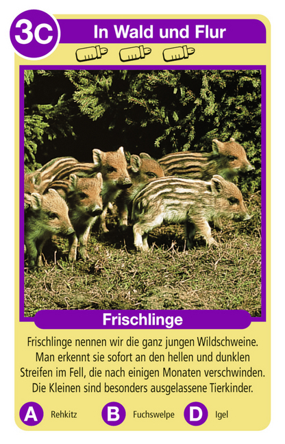 Bild: 4005556204236 | Ravensburger 20423 - Tierquartett Tierkinder, Klassiker für 3-6...