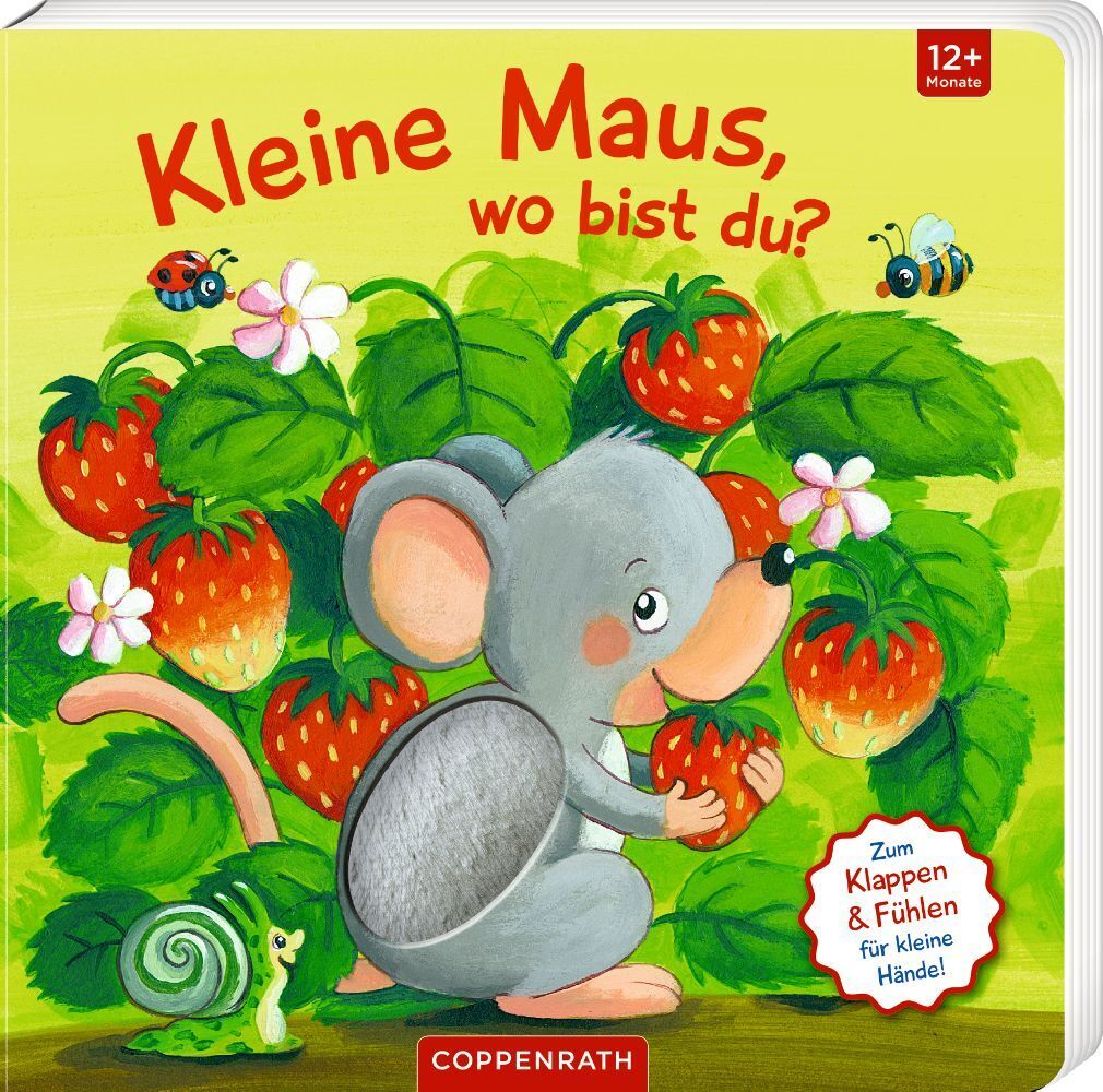 Cover: 9783649645696 | Mein erstes Guckloch-Fühlbuch: Kleine Maus, wo bist du? | Kraushaar