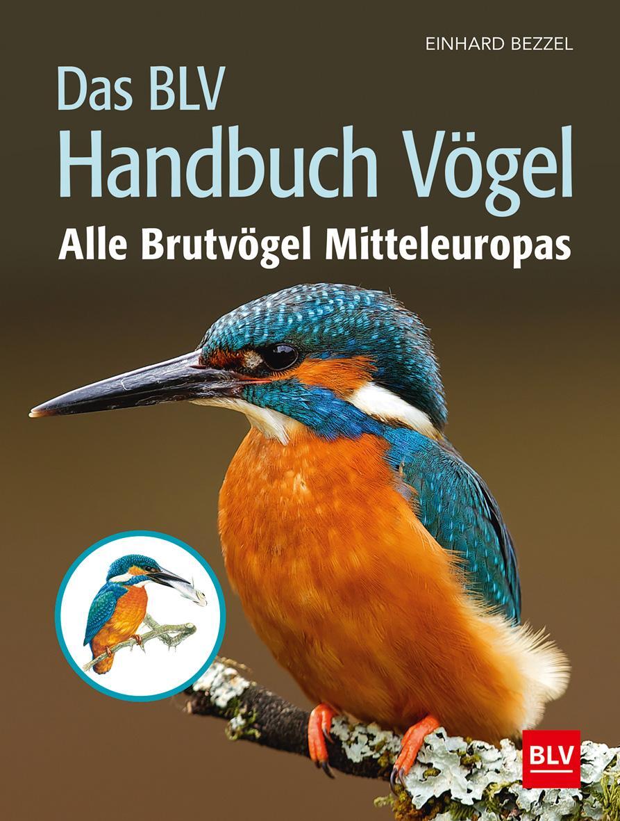 Cover: 9783835419087 | Das BLV Handbuch Vögel | Alle Brutvögel Mitteleuropas | Einhard Bezzel