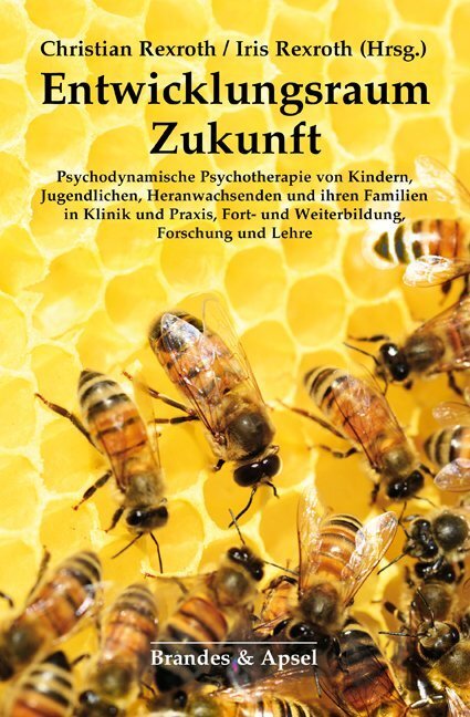 Cover: 9783955582739 | Entwicklungsraum Zukunft | Christian Rexroth (u. a.) | Taschenbuch