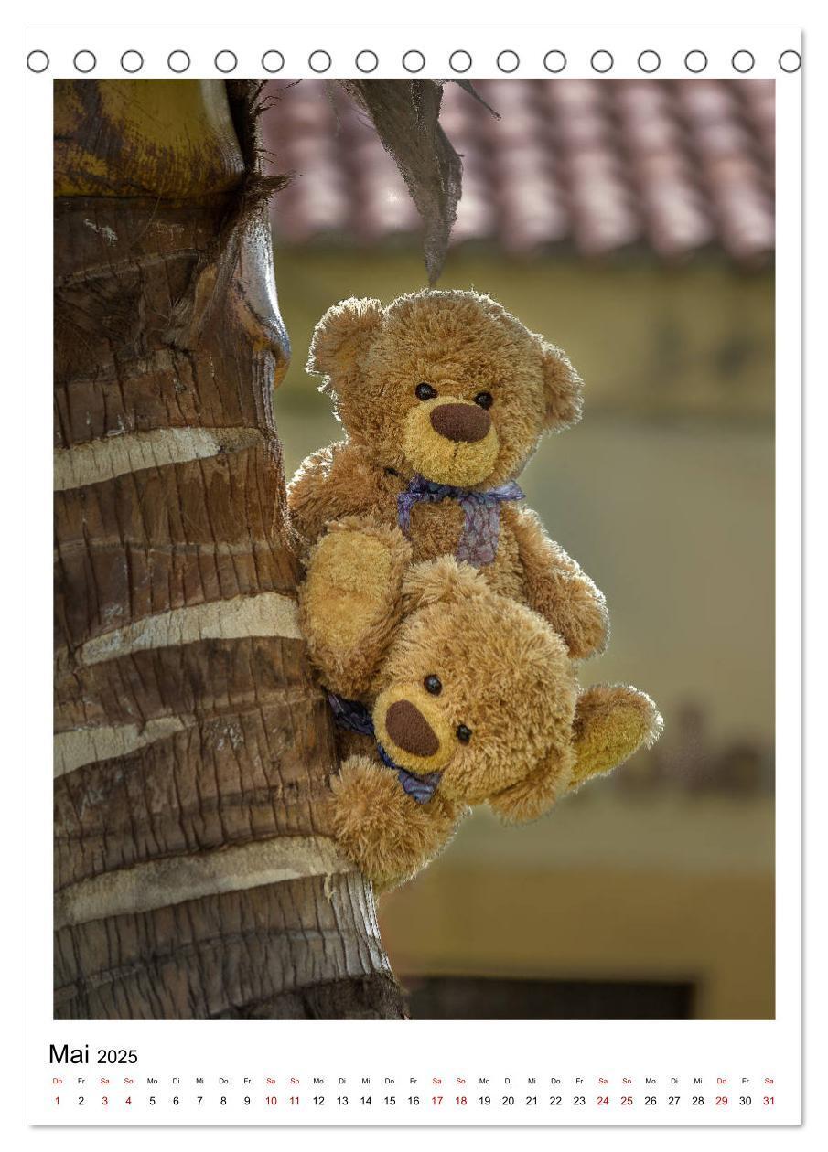 Bild: 9783435984435 | Travelling Teddy Kuba Edition 2025 (Tischkalender 2025 DIN A5...