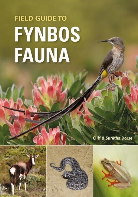 Cover: 9781775847397 | Field Guide to Fynbos Fauna | Cliff Dorse (u. a.) | Taschenbuch | 2024