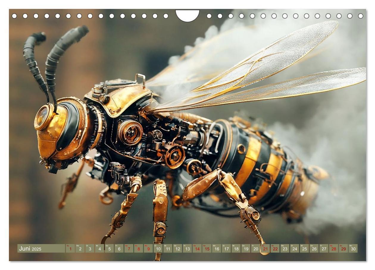 Bild: 9783457185742 | Die fantastische Welt der Steampunk-Insekten (Wandkalender 2025 DIN...