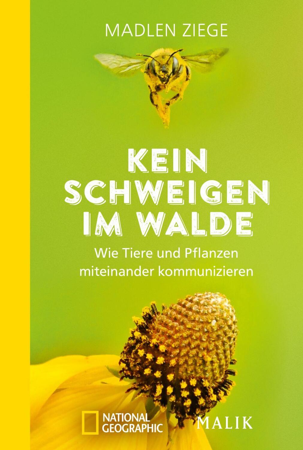 Cover: 9783492406482 | Kein Schweigen im Walde | Madlen Ziege | Taschenbuch | Deutsch | 2021