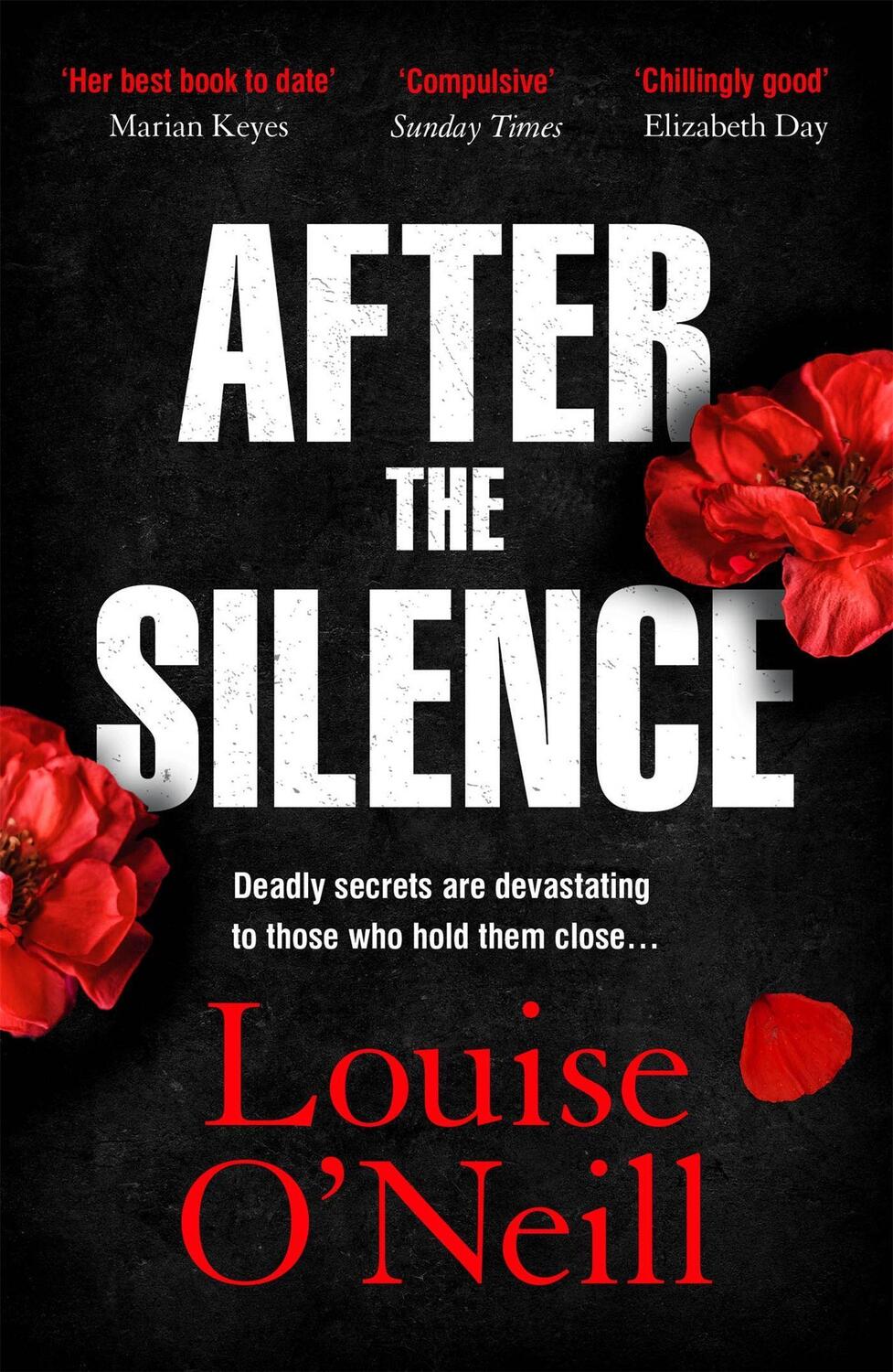Cover: 9781784298920 | After the Silence | The An Post Irish Crime Novel of the Year | Buch