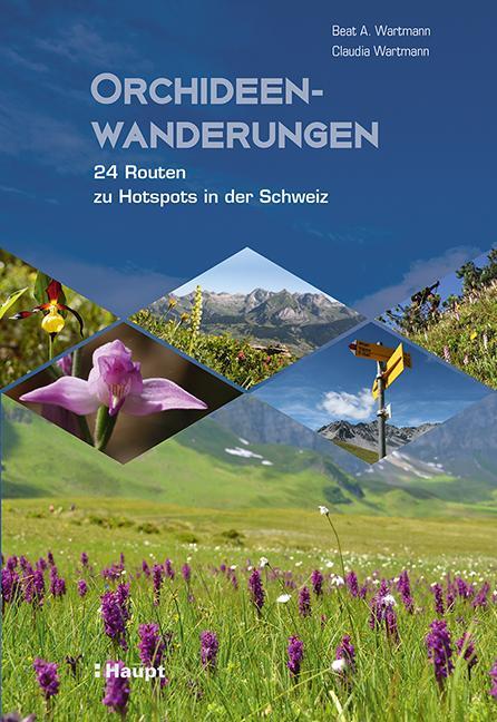 Cover: 9783258080574 | Orchideenwanderungen | 24 Routen zu Hotspots in der Schweiz | Buch