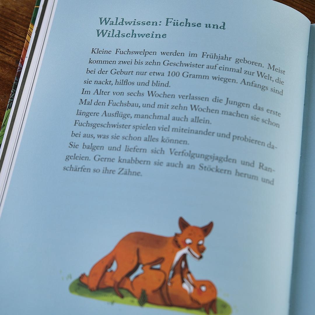 Bild: 9783751205863 | Die schönsten Geschichten aus dem Wald | Anne Rummenie | Buch | 144 S.