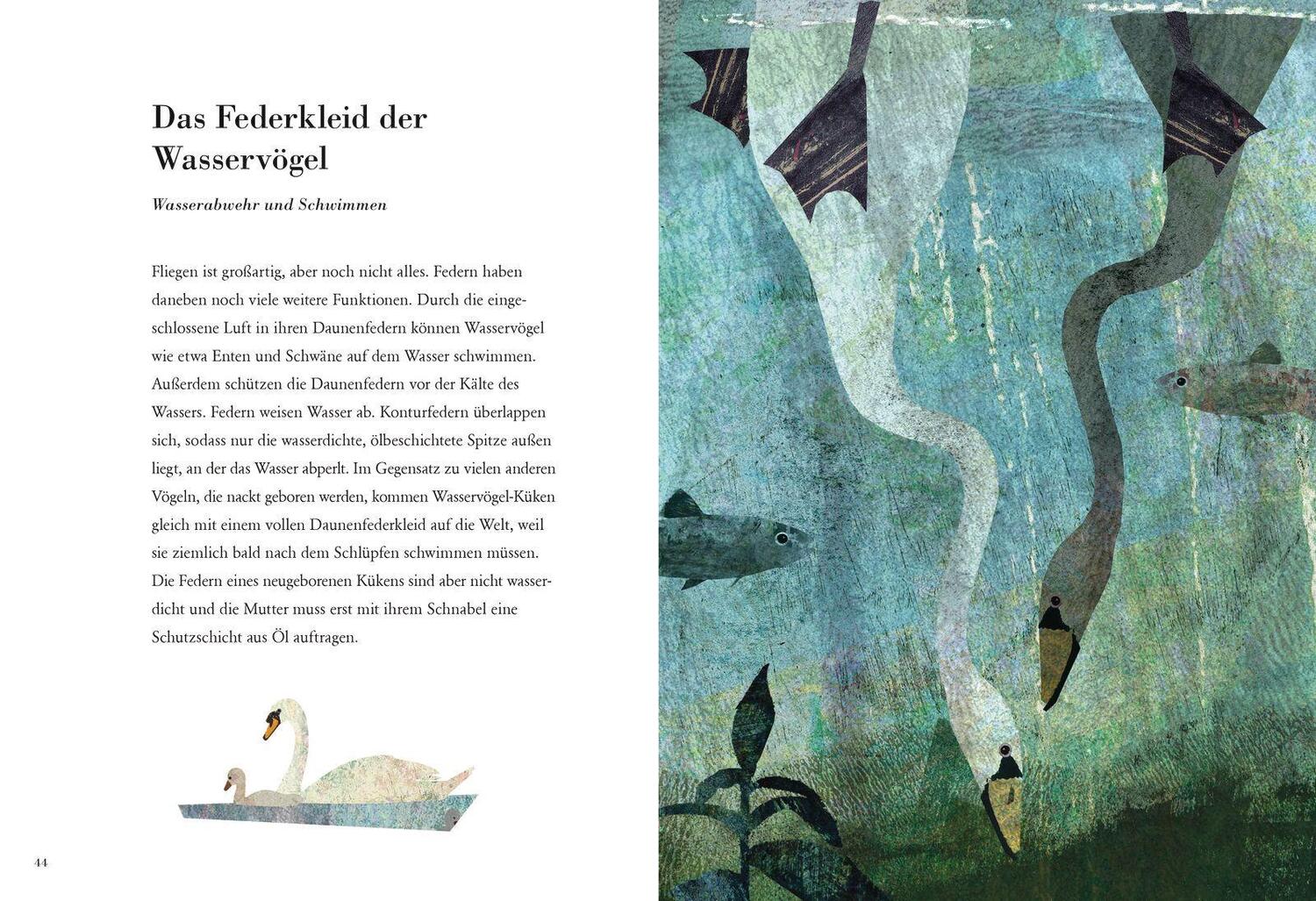 Bild: 9783791373331 | Die Feder | Britta Teckentrup | Buch | 86 S. | Deutsch | 2018