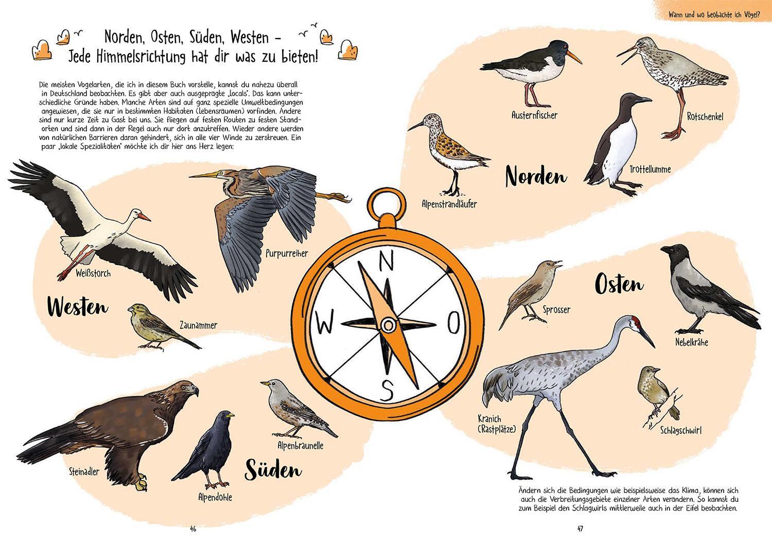 Bild: 9783440178324 | Birding für Ahnungslose | Véro Mischitz | Taschenbuch | 136 S. | 2024