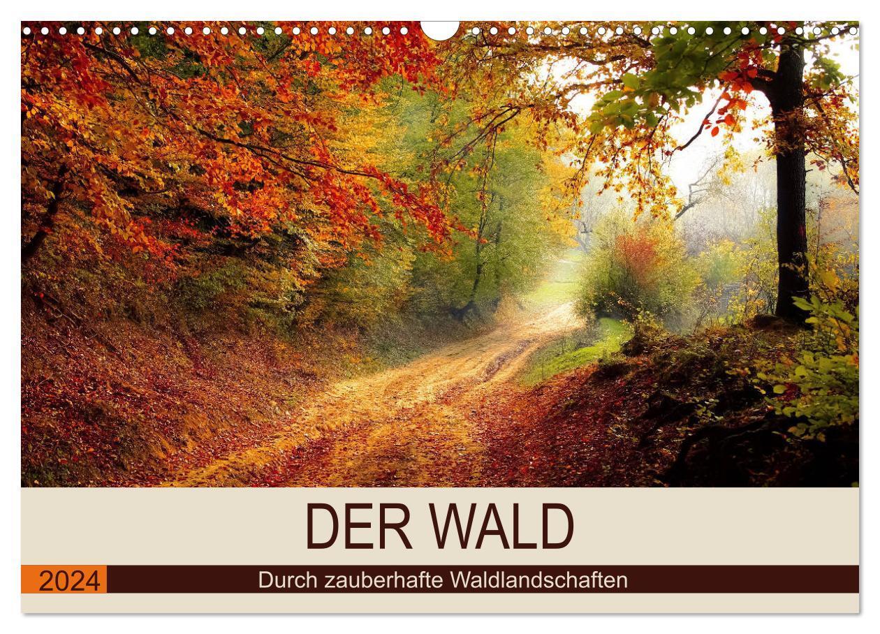 Cover: 9783383108839 | Der Wald. Durch zauberhafte Waldlandschaften (Wandkalender 2024 DIN...