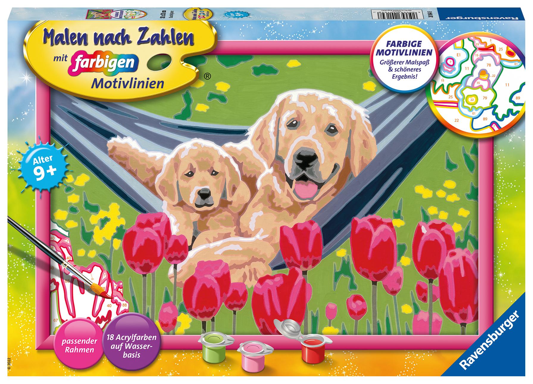 Cover: 4005556201648 | Ravensburger Malen nach Zahlen 20164 - Kuschelpause - Kinder ab 9...