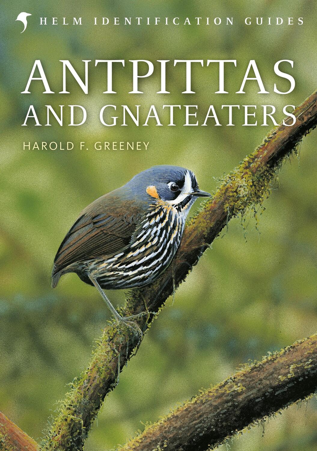 Cover: 9781472919649 | Antpittas and Gnateaters | Harold Greeney | Buch | Englisch | 2018