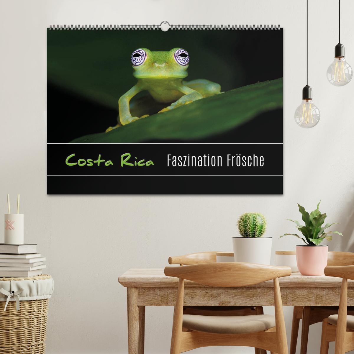 Bild: 9783435490752 | Costa Rica - Faszination Frösche (Wandkalender 2025 DIN A2 quer),...