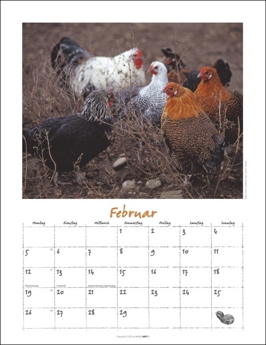Bild: 9783840085598 | Der Hühner-Kalender 2024. Wandkalender 2024 mit Hühnerfotos des...