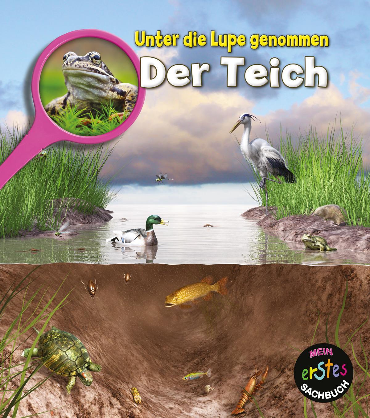 Cover: 9789463410311 | Der Teich | Unter die Lupe genommen | Louise Spilsbury | Buch | 2017