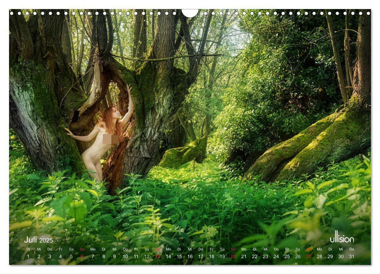 Bild: 9783435337491 | ZAUBERWALD Mystik der Natur (Wandkalender 2025 DIN A3 quer),...