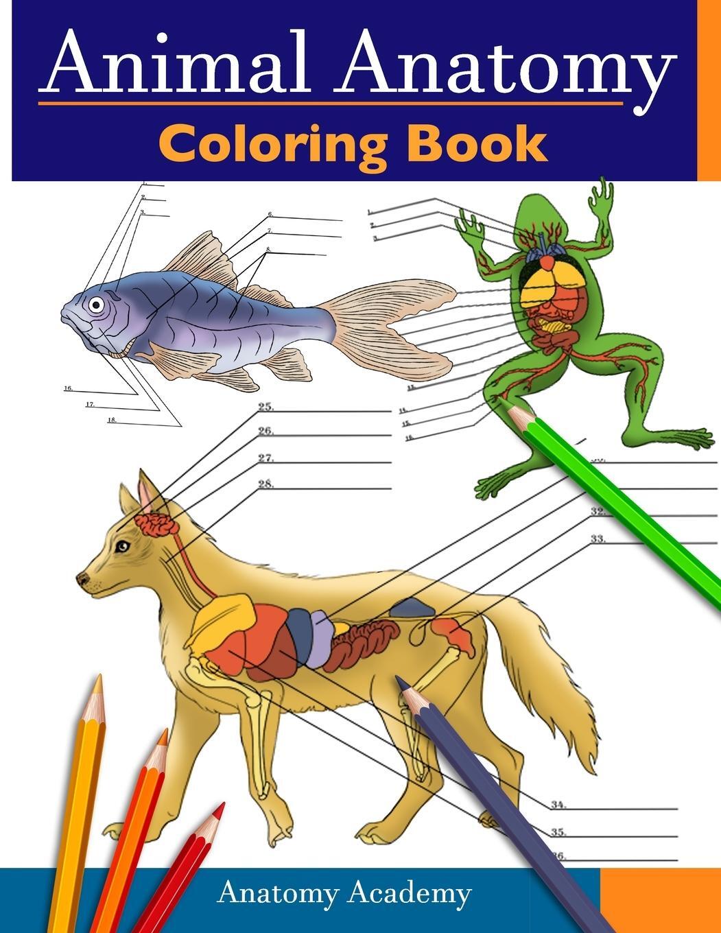 Cover: 9781914207501 | Animal Anatomy Coloring Book | Anatomy Academy | Taschenbuch | 2021