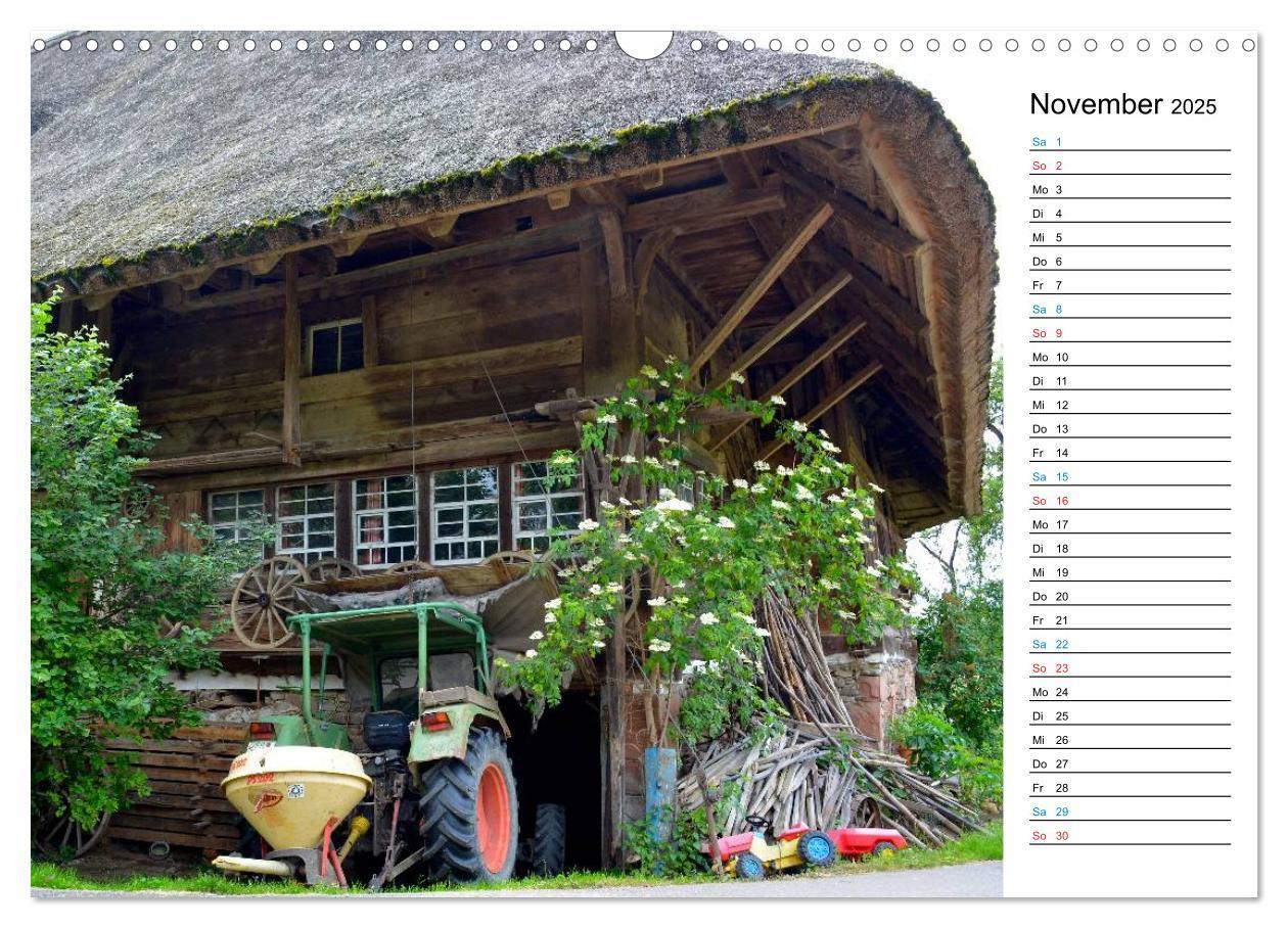 Bild: 9783435693313 | Hochschwarzwald (Wandkalender 2025 DIN A3 quer), CALVENDO...