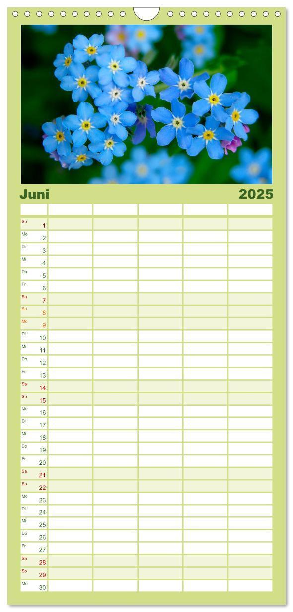 Bild: 9783457120347 | Familienplaner 2025 - Wildblumen 2025 mit 5 Spalten (Wandkalender,...