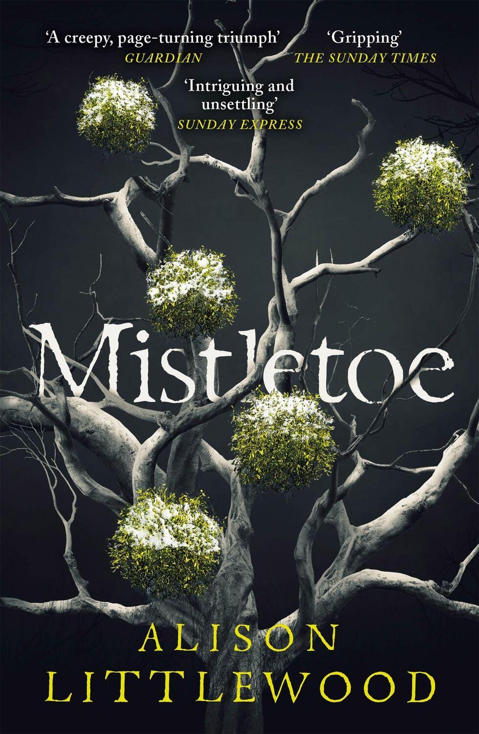 Cover: 9781787475892 | Mistletoe | 'The perfect read for frosty nights' HEAT | Littlewood