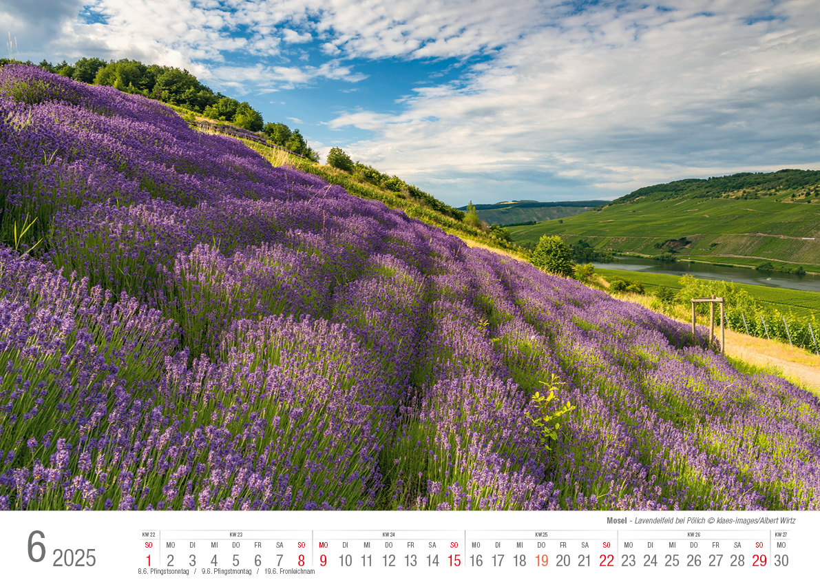 Bild: 9783965352179 | Die Mosel von Trier bis Koblenz 2025 Bildkalender A3 Spiralbindung