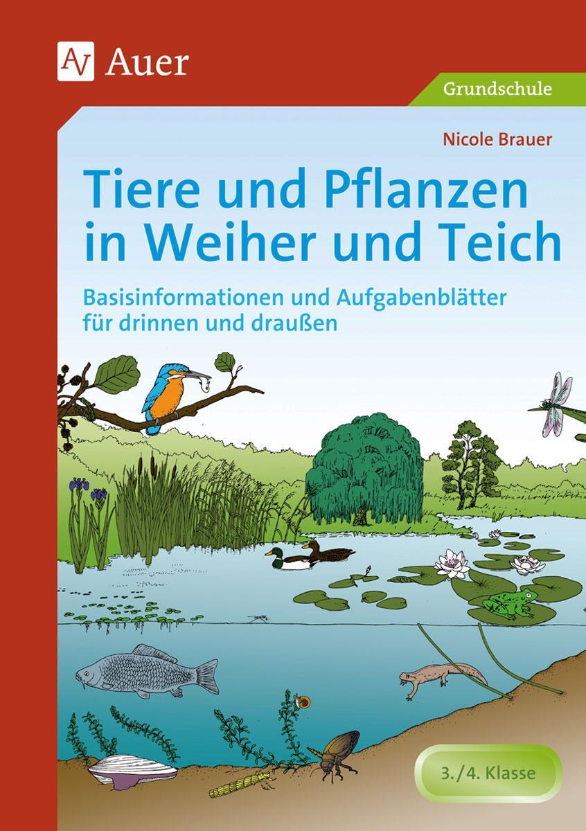 Cover: 9783403063582 | Tiere und Pflanzen in Weiher und Teich | Nicole Brauer | Broschüre