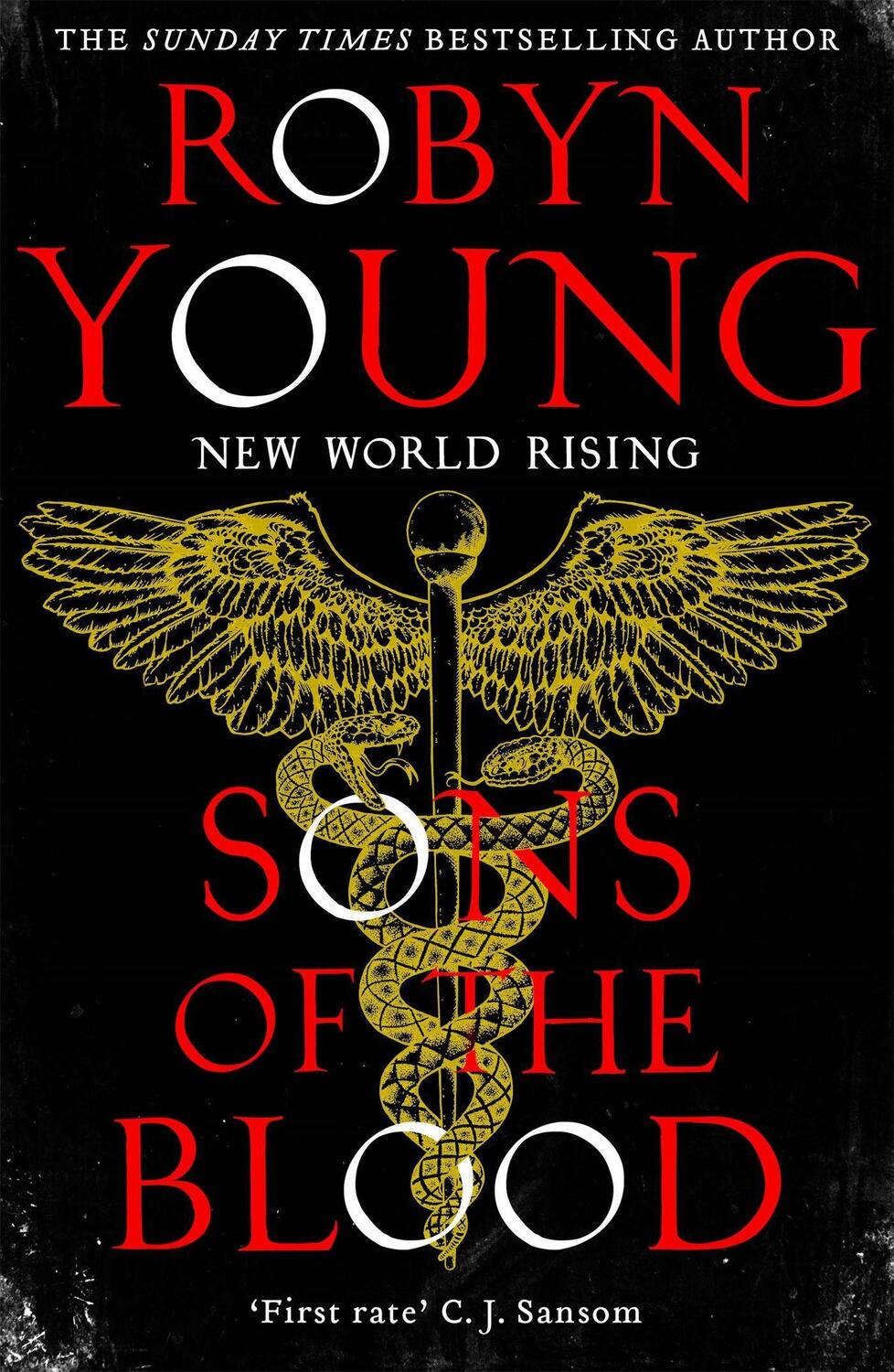 Cover: 9781444777734 | Sons of the Blood | New World Rising Series Book 1 | Robyn Young