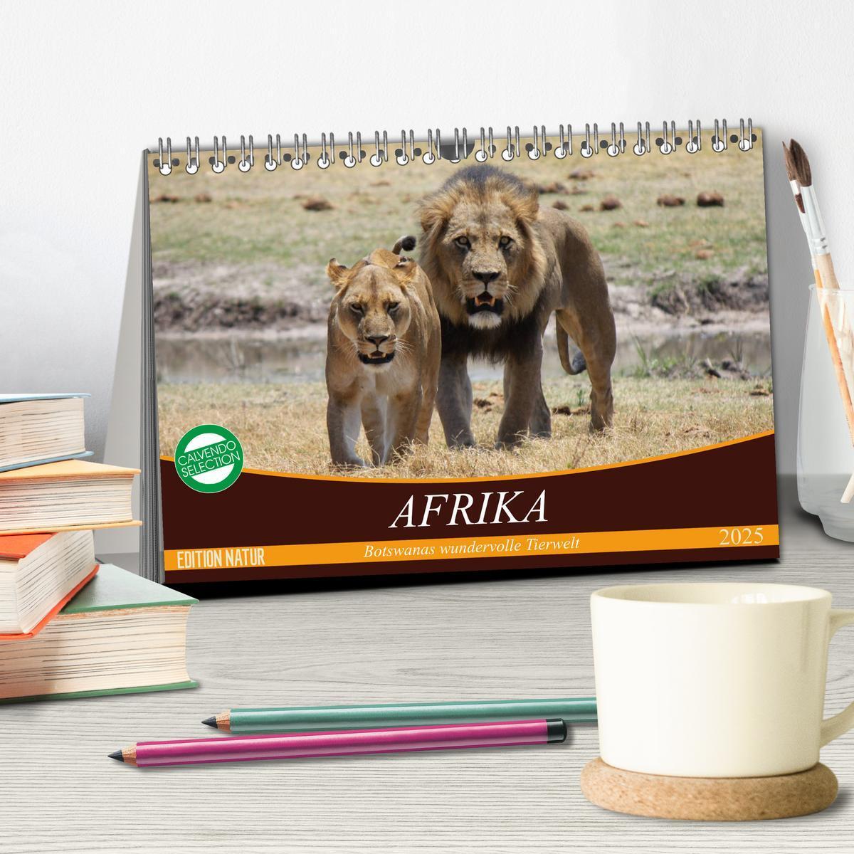 Bild: 9783435418237 | Afrika. Botswanas wundervolle Tierwelt (Tischkalender 2025 DIN A5...