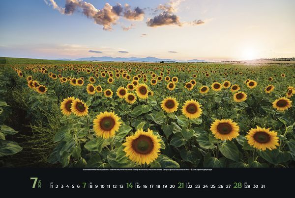 Bild: 9783731868705 | Colourful Seasons 2024 | Korsch Verlag | Kalender | Spiralbindung