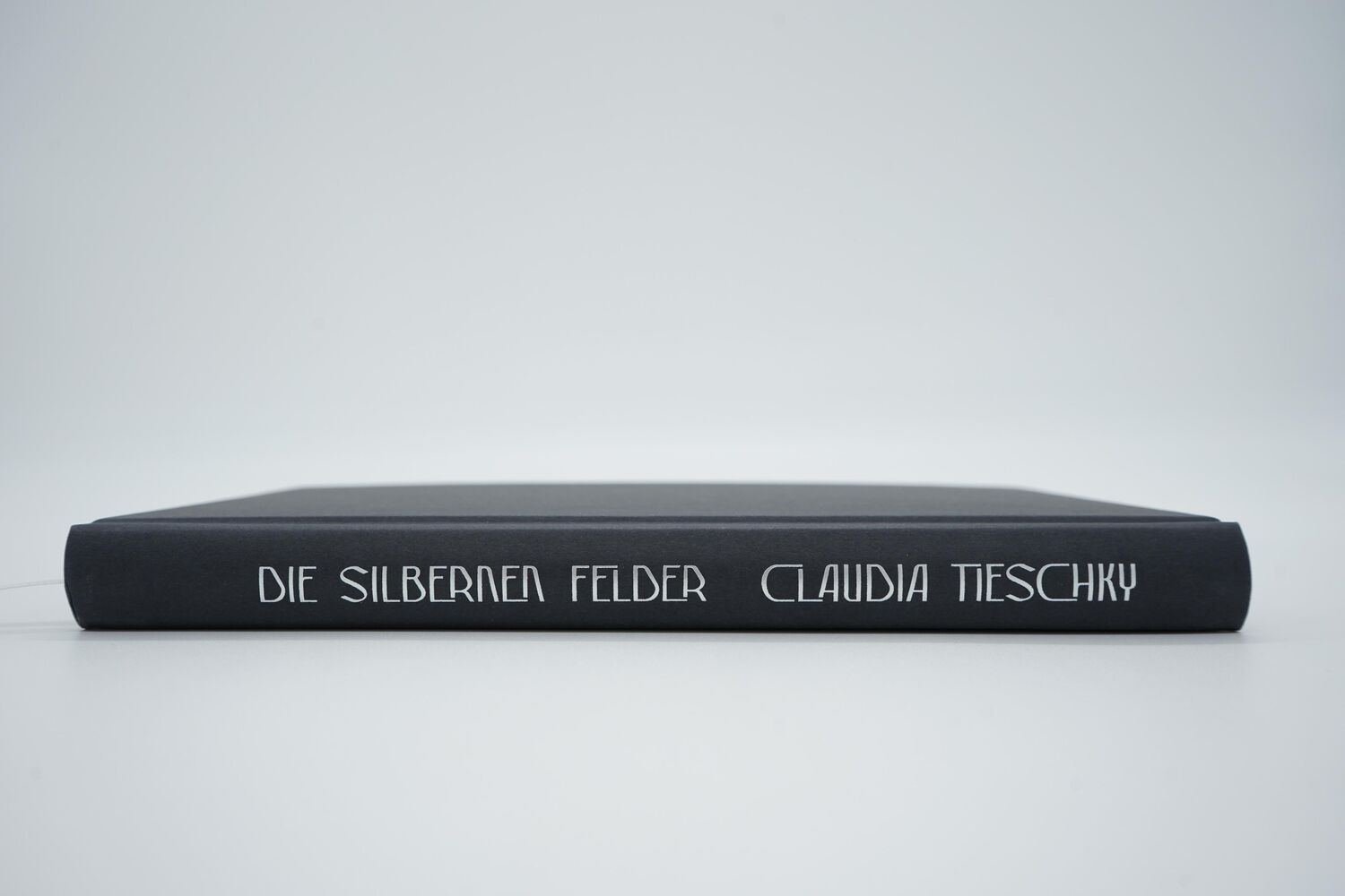 Bild: 9783737101301 | Die silbernen Felder | Claudia Tieschky | Buch | 192 S. | Deutsch