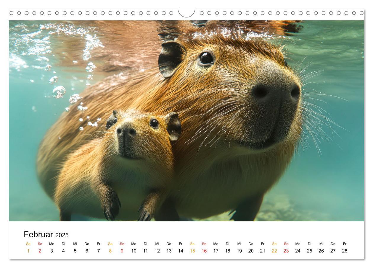 Bild: 9783457244593 | Capybara - liebenswertes großes Wasserschwein (Wandkalender 2025...