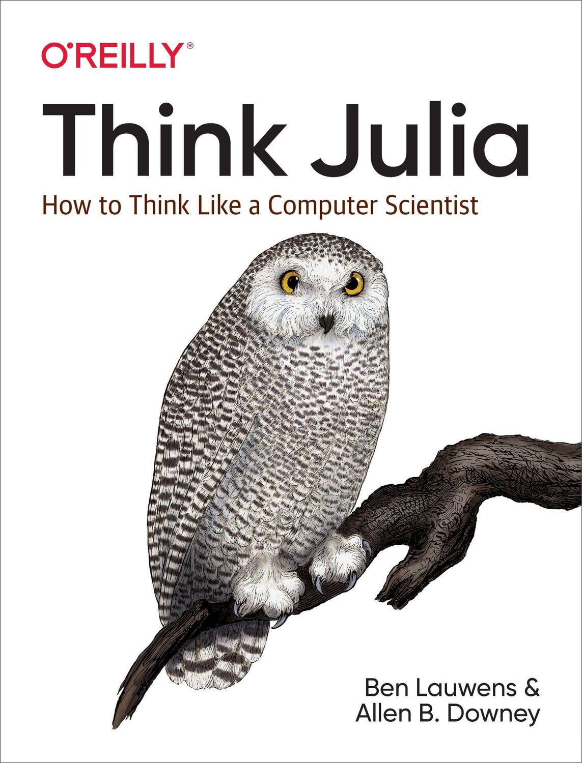 Cover: 9781492045038 | Think Julia | How to Think Like a Computer Scientist | Lauwens (u. a.)