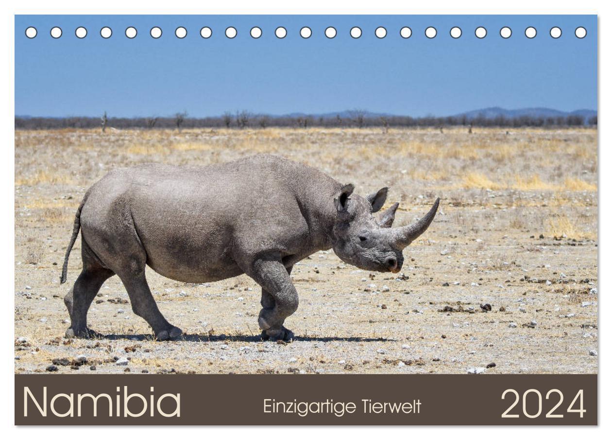 Cover: 9783383063640 | Namibia - einzigartige Tierwelt (Tischkalender 2024 DIN A5 quer),...