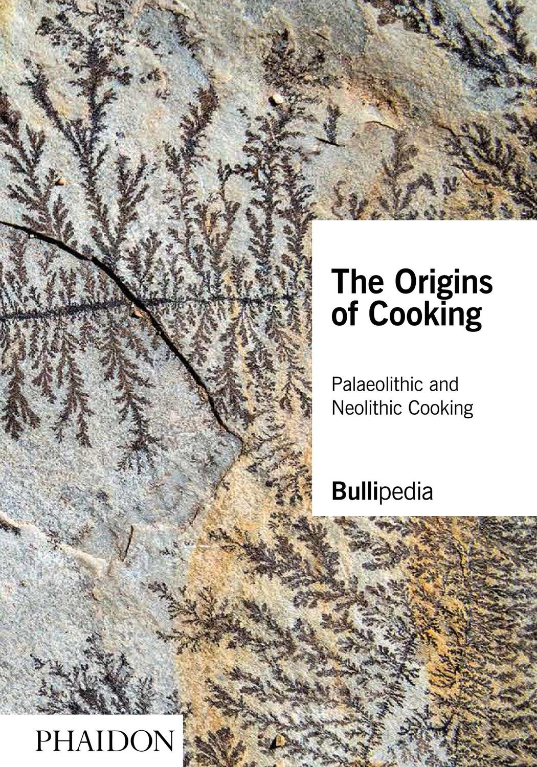 Cover: 9781838661625 | The Origins of Cooking | Palaeolithic and Neolithic Cooking | Buch