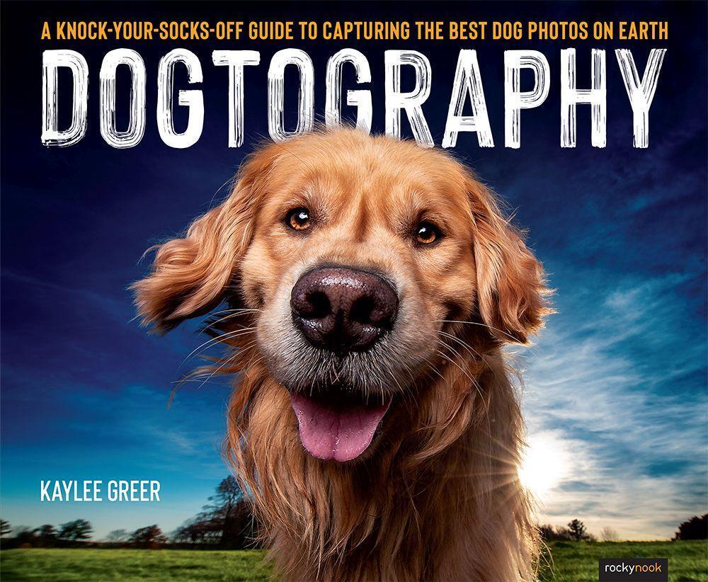 Cover: 9781681986470 | Dogtography | Kaylee Greer | Taschenbuch | Englisch | 2020