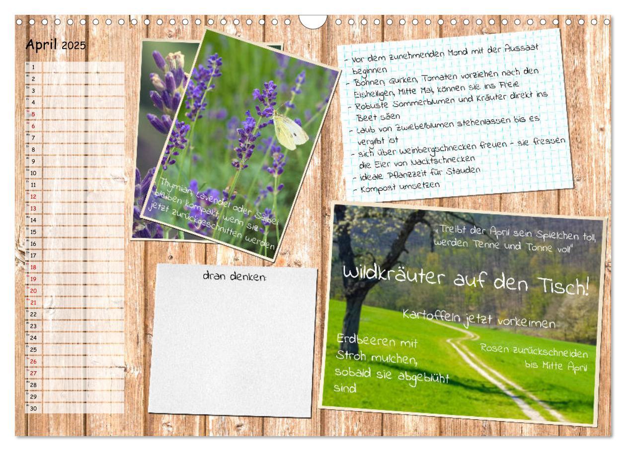 Bild: 9783435132522 | Was ist noch im Garten zu tun? (Wandkalender 2025 DIN A3 quer),...