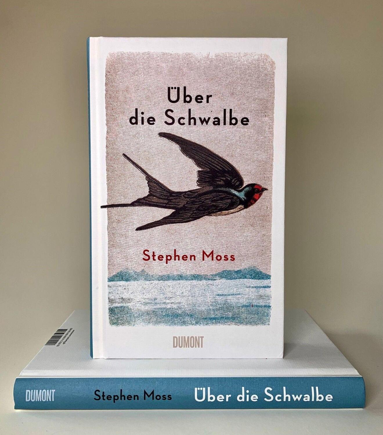 Bild: 9783832180058 | Über die Schwalbe | Stephen Moss | Buch | Deutsch | 2021