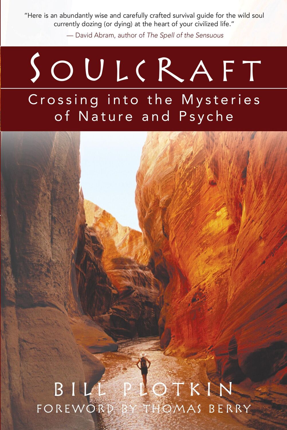 Cover: 9781577314226 | Soulcraft | Crossing Into the Mysteries of Nature and Psyche | Plotkin