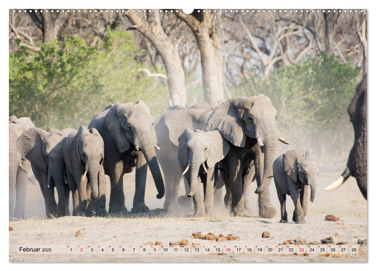 Bild: 9783435242337 | Elefanten - Sanfte Riesen Afrikas (Wandkalender 2025 DIN A2 quer),...