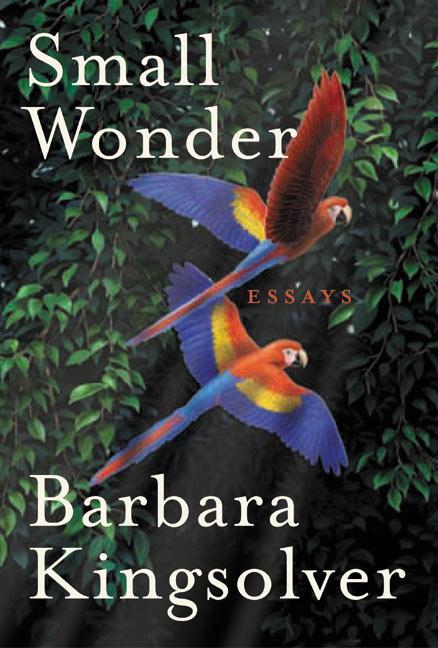 Cover: 9780060504076 | Small Wonder | Essays | Barbara Kingsolver | Buch | Englisch | 2002