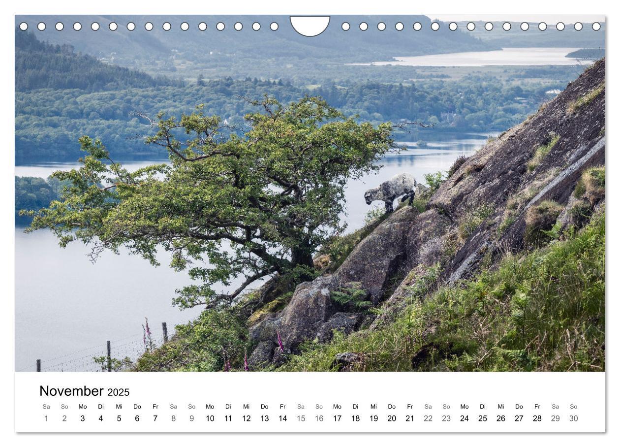 Bild: 9783383915208 | Lake District - Ein Juwel Englands (Wandkalender 2025 DIN A4 quer),...