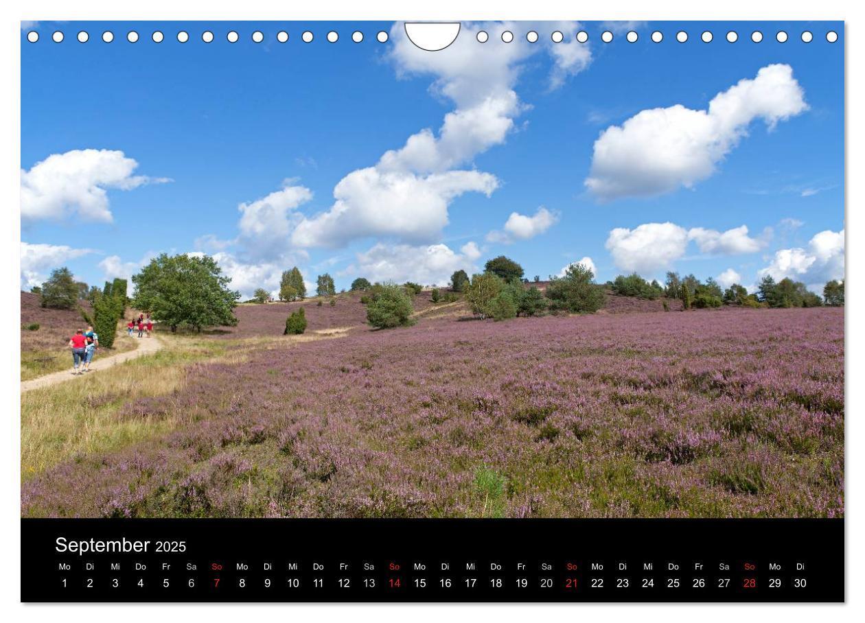 Bild: 9783435791743 | Hansestadt Lüneburg und Lüneburger Heide (Wandkalender 2025 DIN A4...