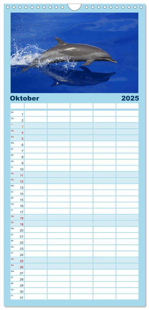 Bild: 9783457112311 | Familienplaner 2025 - Delfine und Wale mit 5 Spalten (Wandkalender,...