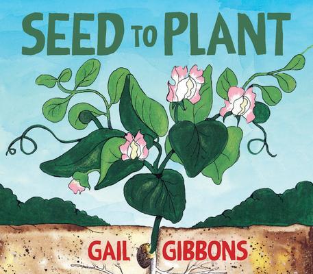 Cover: 9780823454440 | Seed to Plant | Gail Gibbons | Buch | Kinder-Pappbuch | Englisch