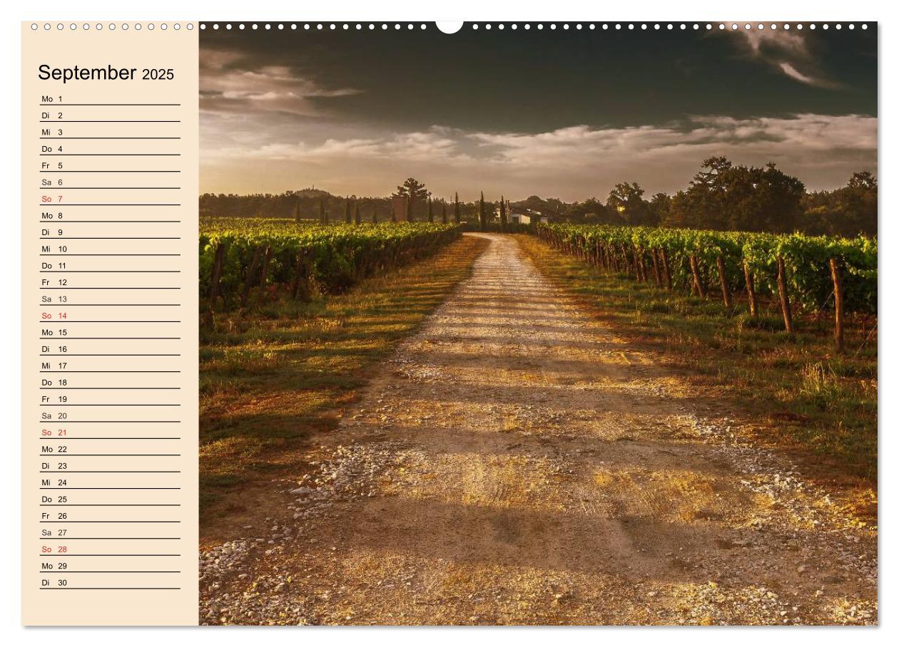 Bild: 9783435513178 | Weinanbau. Von der Traube zum Wein (Wandkalender 2025 DIN A2 quer),...