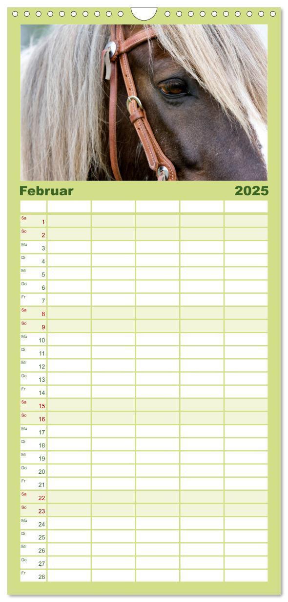 Bild: 9783457113738 | Familienplaner 2025 - Irish Tinker mit 5 Spalten (Wandkalender, 21...